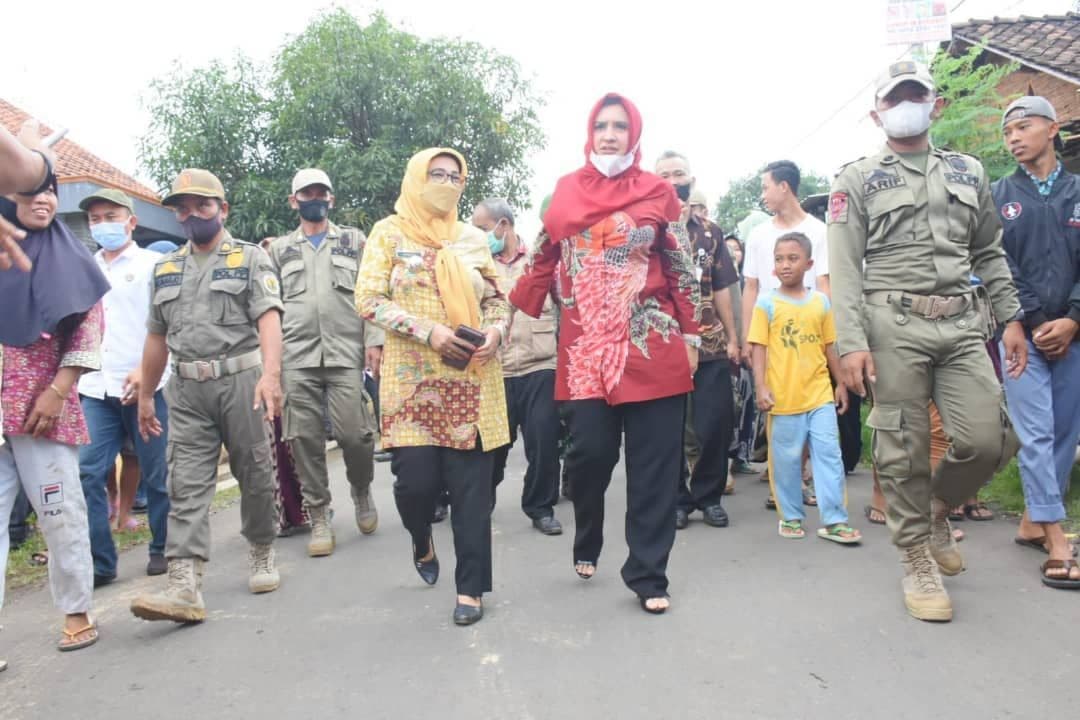 An image uploaded to Strapi called 15