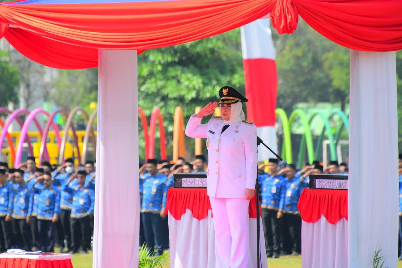 An image uploaded to Strapi called 17