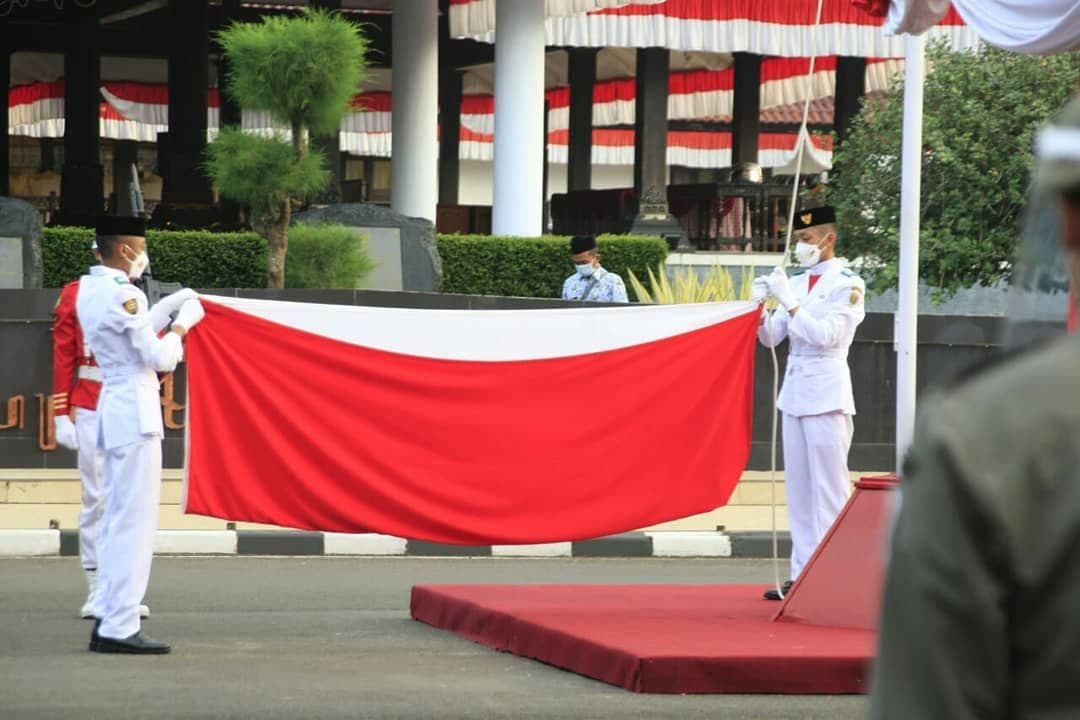 An image uploaded to Strapi called 333