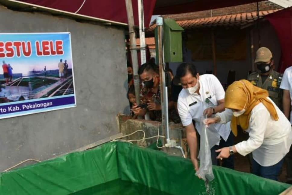 An image uploaded to Strapi called Lele222