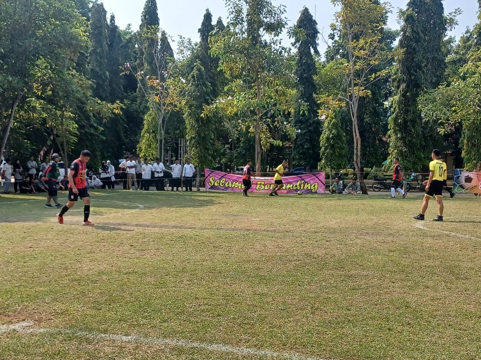 An image uploaded to Strapi called Lomba