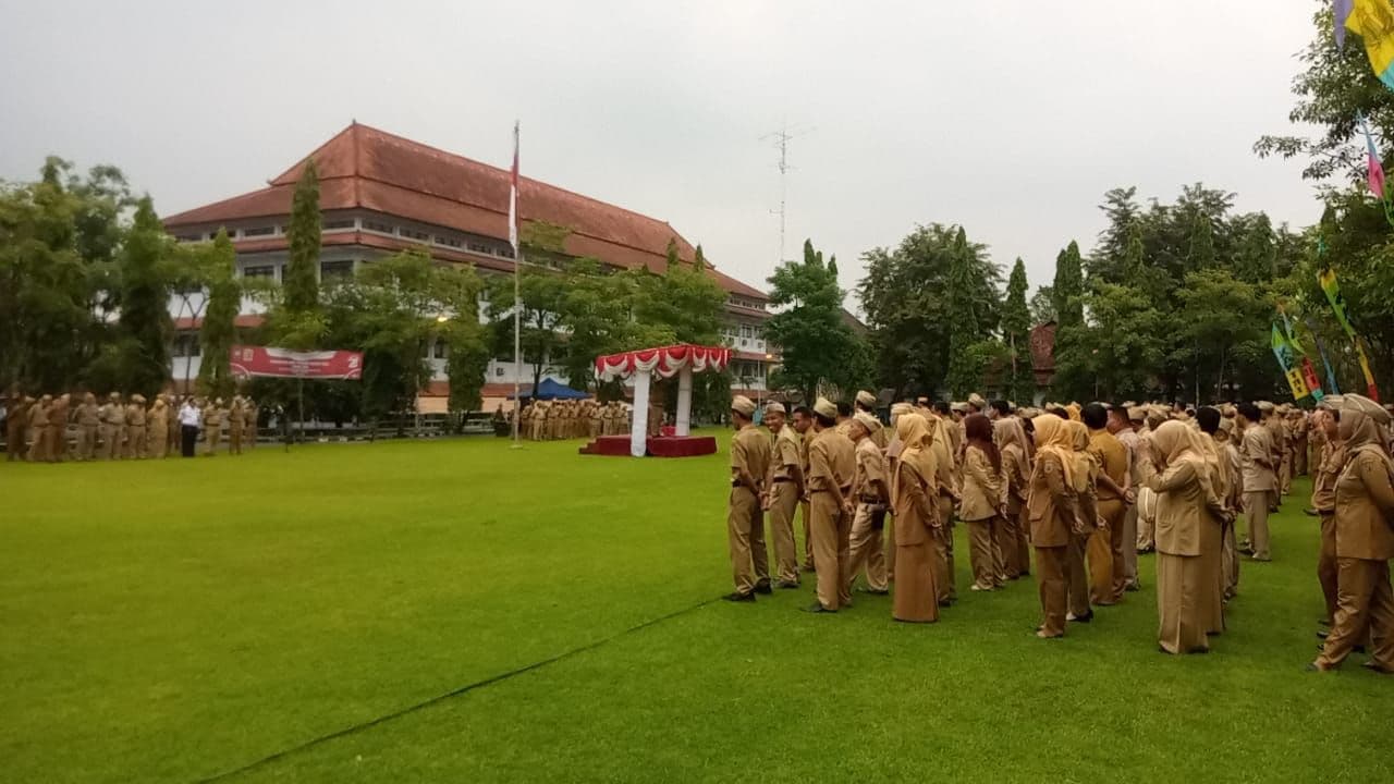 An image uploaded to Strapi called Otda