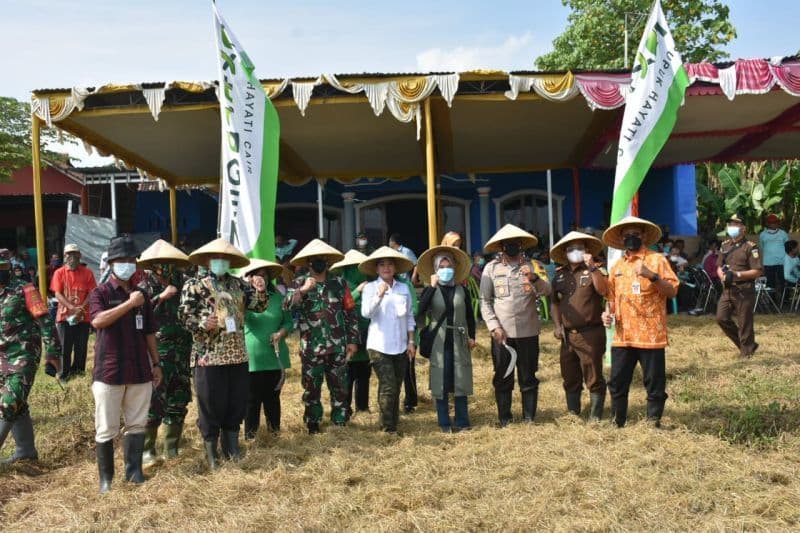 An image uploaded to Strapi called P11