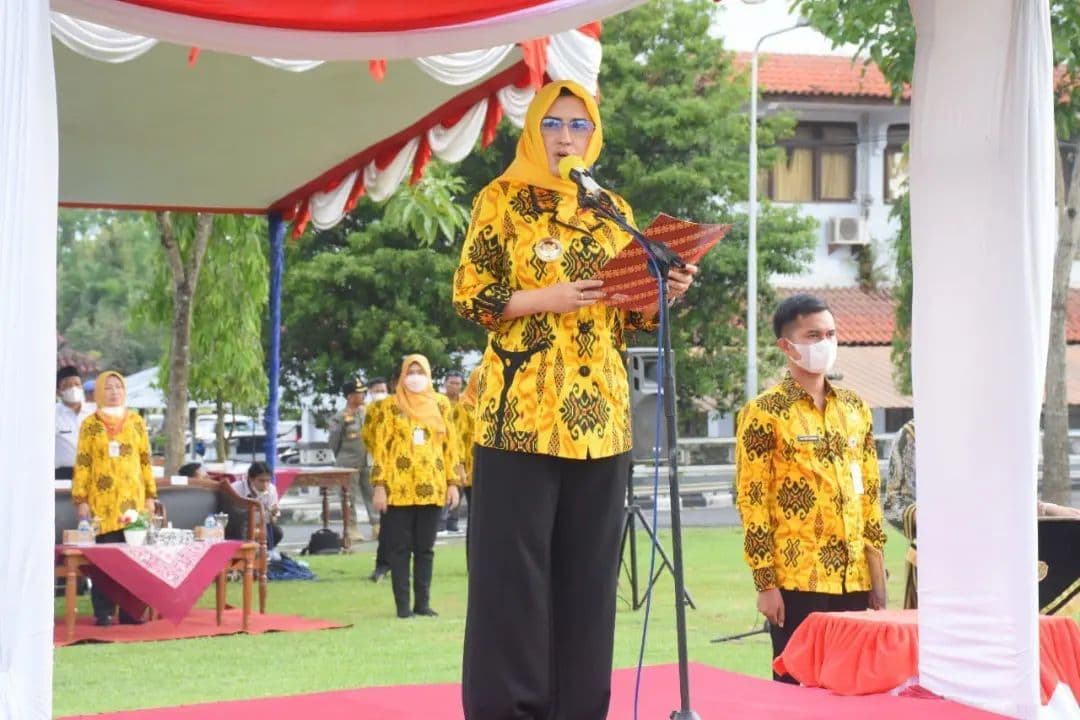 An image uploaded to Strapi called P3K2