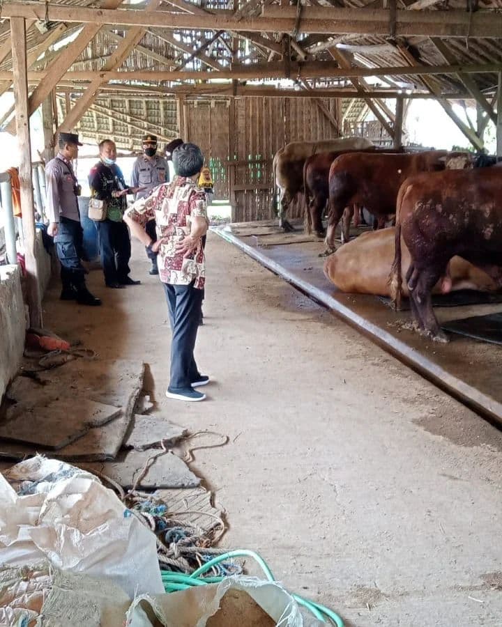 An image uploaded to Strapi called PMK2