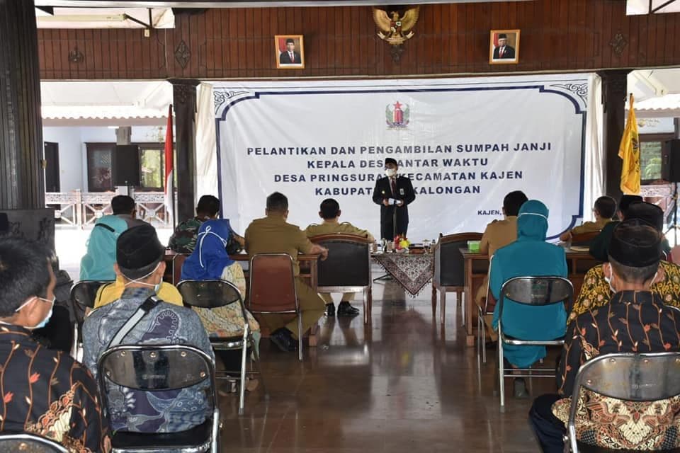 An image uploaded to Strapi called Pring11