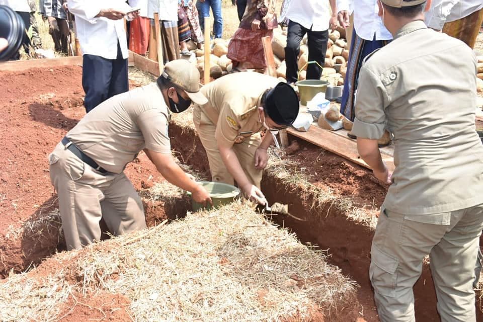 An image uploaded to Strapi called Tebu2