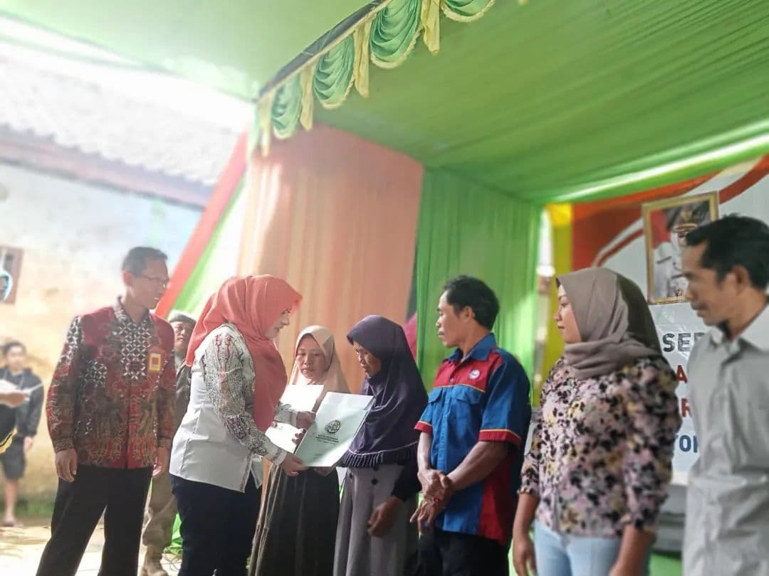 An image uploaded to Strapi called Werdi1