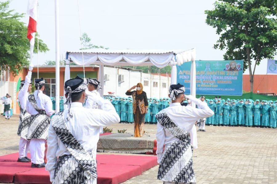 An image uploaded to Strapi called ppid27