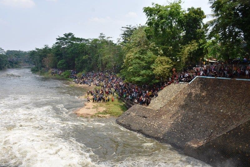 An image uploaded to Strapi called ppid5