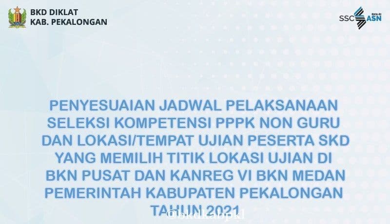 An image uploaded to Strapi called ppid8b