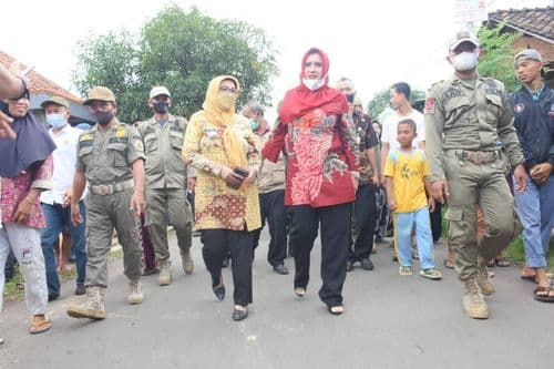 An image uploaded to Strapi called 15