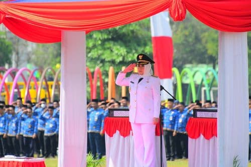 An image uploaded to Strapi called 17