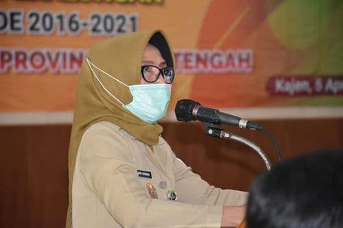 An image uploaded to Strapi called AAb