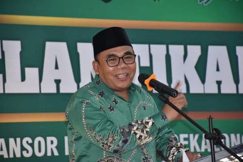 An image uploaded to Strapi called Ansor111