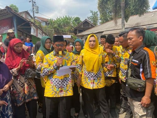 An image uploaded to Strapi called Domiyang