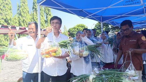 An image uploaded to Strapi called GPM