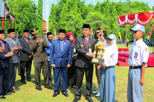 An image uploaded to Strapi called HSP