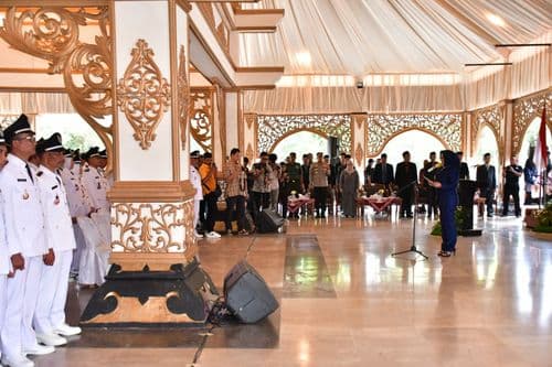 An image uploaded to Strapi called Kades