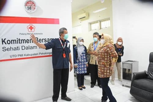 An image uploaded to Strapi called Konsvalen1