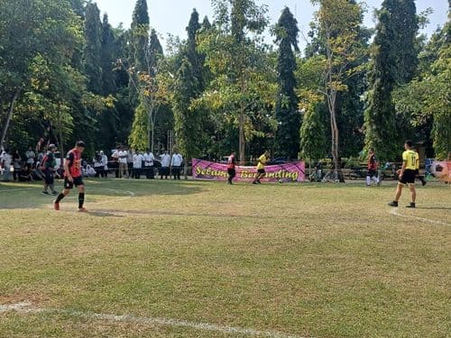 An image uploaded to Strapi called Lomba