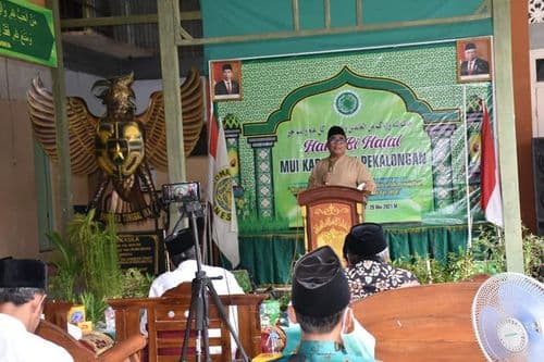 An image uploaded to Strapi called MUI444