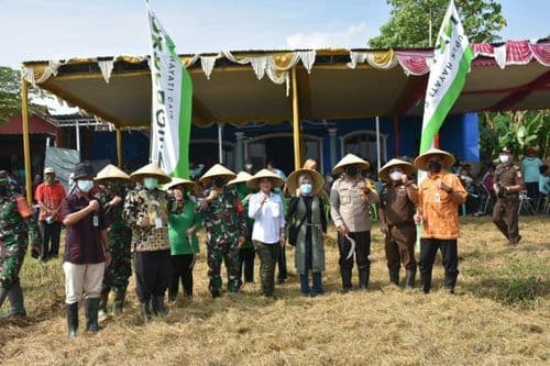 An image uploaded to Strapi called P11