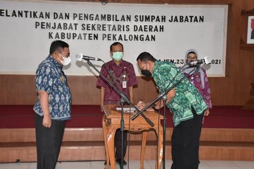 An image uploaded to Strapi called PJ2