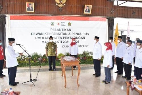 An image uploaded to Strapi called PMI11