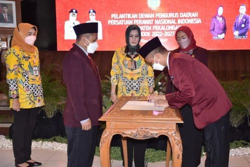 An image uploaded to Strapi called PPNI2