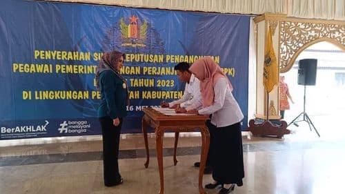 An image uploaded to Strapi called PPPK