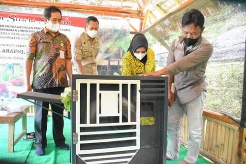 An image uploaded to Strapi called Petung2222