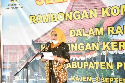 An image uploaded to Strapi called ROM1