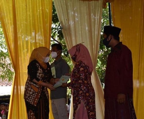 An image uploaded to Strapi called SILIR1