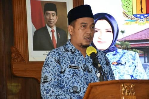 An image uploaded to Strapi called Sekda1