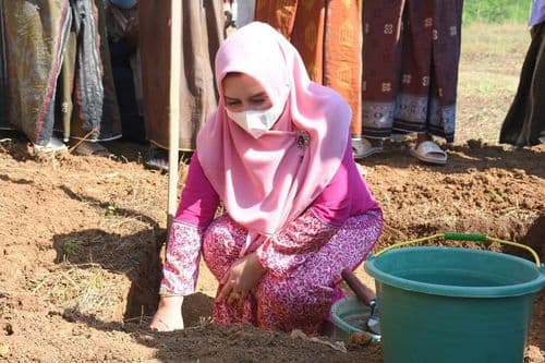 An image uploaded to Strapi called Serang22