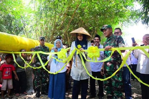 An image uploaded to Strapi called Tani