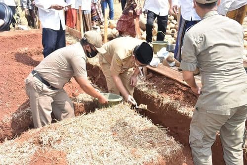 An image uploaded to Strapi called Tebu2