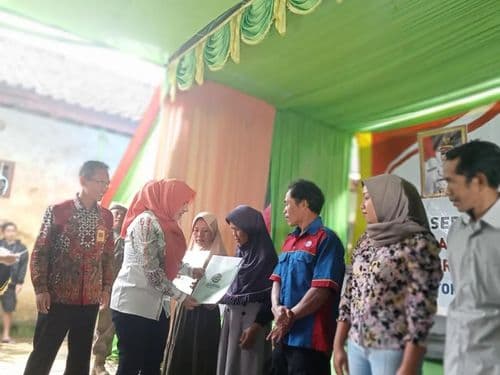 An image uploaded to Strapi called Werdi1