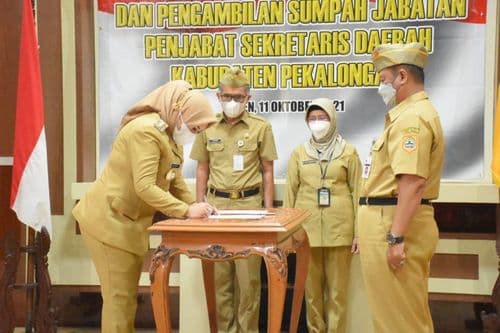 An image uploaded to Strapi called ppid14