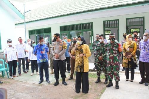 An image uploaded to Strapi called ppid17