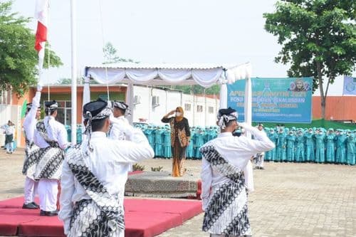 An image uploaded to Strapi called ppid27