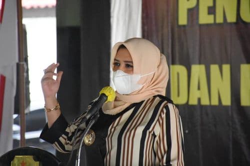 An image uploaded to Strapi called ppid7