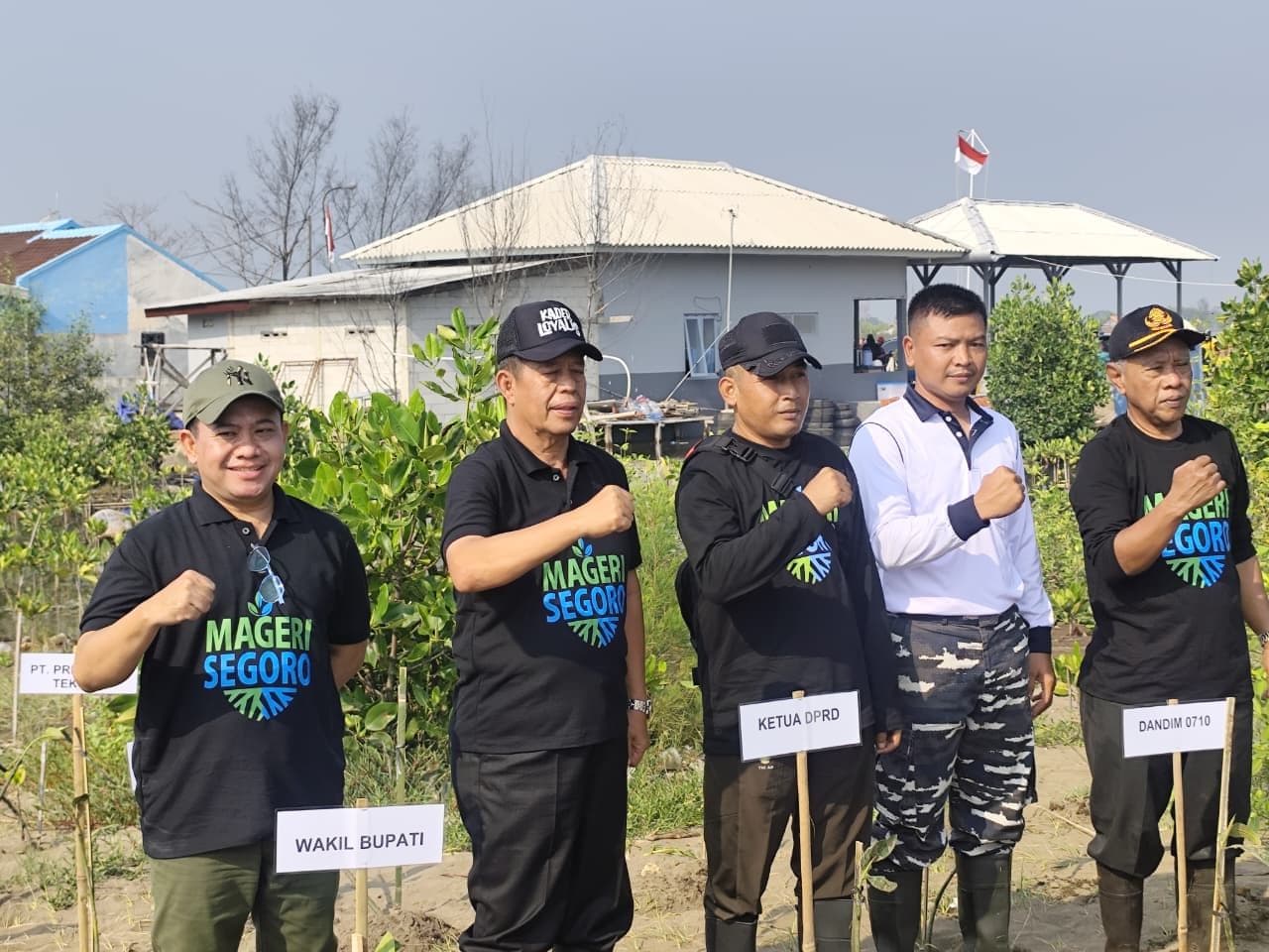 MAGERI SEGORO, PEMKAB PEKALONGAN TANAM 89.500 MANGROVE
