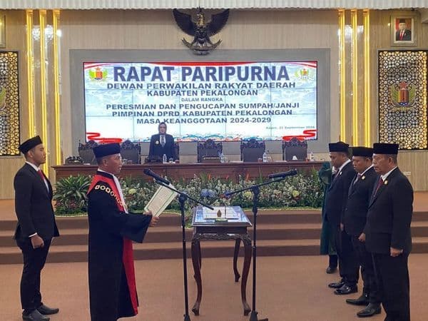 An image uploaded to Strapi called PelantiikanKetua